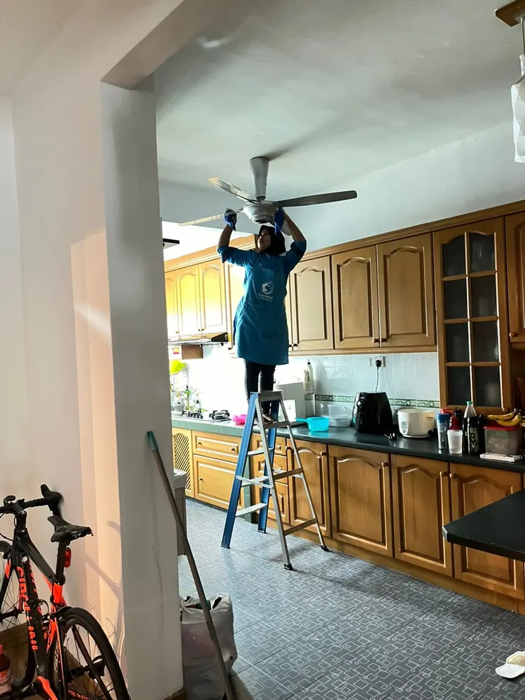 Kitchen ceiling fan